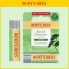 Burt's Bees Rescue Ointment Cicastic 4.25g / 버츠비 레스큐 오인트먼트 시카스틱 4.25g