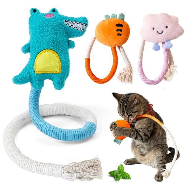 winbarry Cat Toys, Cat Toy for Indoor Cats, Kitten toys,