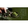 Mori Han Uji Matcha Ice Cream 2.5 oz (70 g)