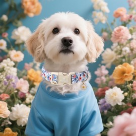 Maca Bates Blue Flower Dog Collar for Dogs Adjustable Durable Cute Soft Safe Comfortable Spring Summer Floral Collars Gift for Small Medium Large BoyGirl Male Female PuppyPets with White Buckle