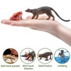 TOYMANY Pack of 12 Madagascar Animals Figures, Realistic Forest Animals