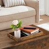 Hanobe Brown Decorative Serving Trays: Rustic Brown Rectangle Tray Decor