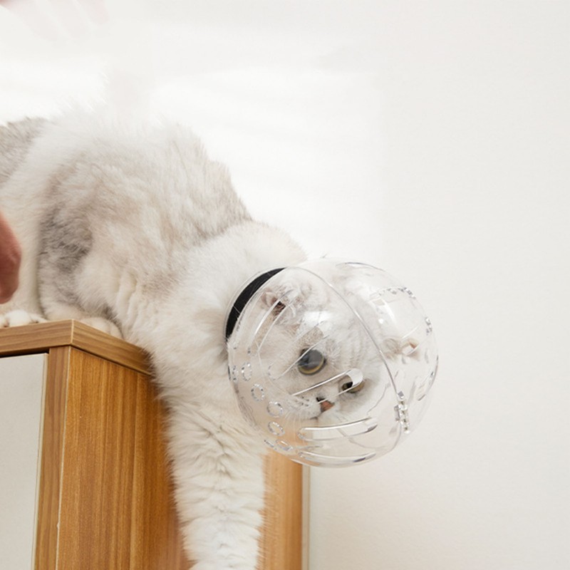 Cat Muzzle Transparent Breathable Prevent Biting Licking Lightweight Cat Hood