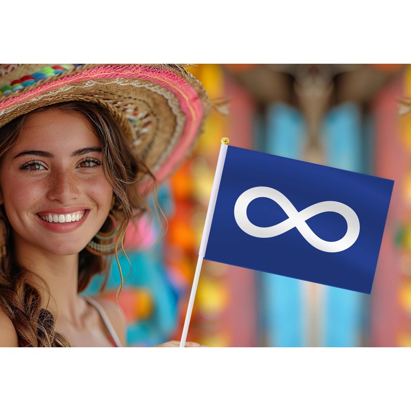 10 Pack Metis Handheld Small Flag,Mini Metis Hand Held Miniature