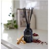 Benevolence LA Reed Diffuser Sticks - 3 Pack of 7