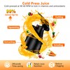 Cold Press Juicer Machine, Slow Masticating Juicer with 96%-99% High