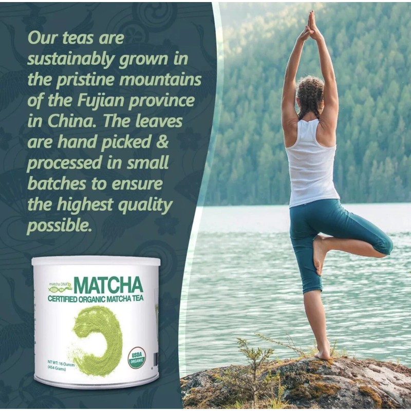 Matcha DNA Organic Matcha Green Tea Powder Unsweetened 100% Natural