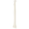 Axis Scientific Radius Bone Model | Left | Cast from