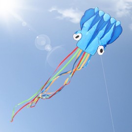 Hillylolly Octopus Kite, Large, Flight Kite, Single Line, Wind Kite for Children, Kite Fly, Kite Climbing Games for Adults, Children from 10 Years, Includes Kite String (Blue)