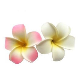 2Pcs White and Pink Flower Hawaiian Frangipani Plumeria Clips and Barrettes Foam Head Flower， Suitability Party And Beach Hair Clip Hair Women's Fashion Clips Hair Accessories 7cm Hair Accessories