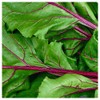 Everwilde Farms - 1/4 Lb Organic Lutz Green Leaf Beet