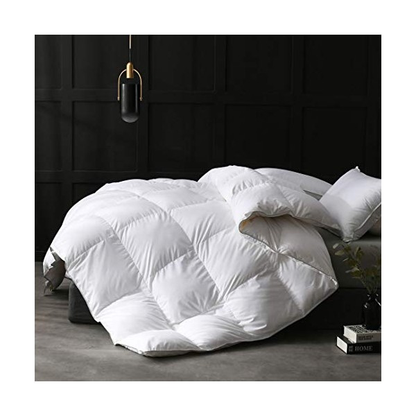 APSMILE Full/Queen Size Goose Feathers Down Comforter Duvet Insert - Ultra-Soft All Season Down Comforter Hotel Collection Comforter, 46 Oz Fluffy Medium Warmth (90x90, White)