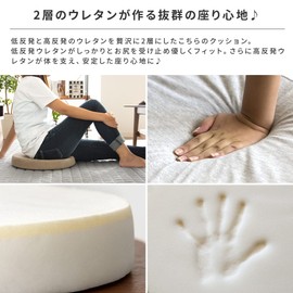 Air Resome Cushion, Zabuton, Low Rise, High Resilience, Urethane Cushion, Hue Sweatshirt, Green, Square