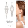 Earrings, Large Contest, Accessories, Bikini, Dress, Swing, Long Earrings, Sparkle,