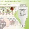 SIGANDG 10A DII E27 R021 Spiral Ceramic Fuses gG Diazed