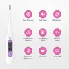 Femometer Digital Basal Body Thermometer Fertility Monitor Record BBT Manually,