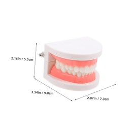 ABOOFAN Dentals Typodont Teaching Model for Demonstration and Practice Flossing Teeth Model for Students Interactive Oral Health Education Tool for Adults