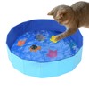 LUPAPA Cat Pool Toy with 6 Fish, Cat Water Toy