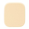 Covermark Powdery Sponge MVS (For Powdery Foundations)