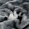 LGYKUMEG Heavy Korean Mink Blanket 71"X87", Fleece Plush Blanket for