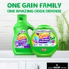 Gain Flings Laundry Detergent Pacs with Odor Defense, 112 Count,