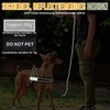 Eyein Dog Harness with Lead for Large and Medium Dogs,