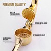 Drincarier Premium Garlic Press, Professional Garlic Mincer, Easy to Squeeze