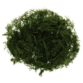 Fuchu Hokuen Ito-blue Nori, Blue Laver, Blue Laver, Aonori Suji Green Laver, Produced in Yoshino River, 0.2 oz (7 g), High Quality, Yoshino River, Sea Scent