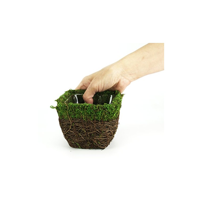 SuperMoss (55071 Ventura, Fresh Green, Small