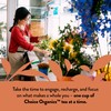 Choice Organics - Organic Oolong Tea (6 Pack) - Fair