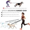 AIMALL Versatile Waist Dog Leash Set with Reflective Straps for
