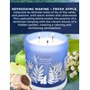 Rainforest Lily Mist Scented Candle | Big 3-Wick Soy Candle