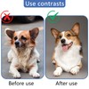 2Pcs Self Cleaning Stainless Steel Cat and Dog Combs Set,