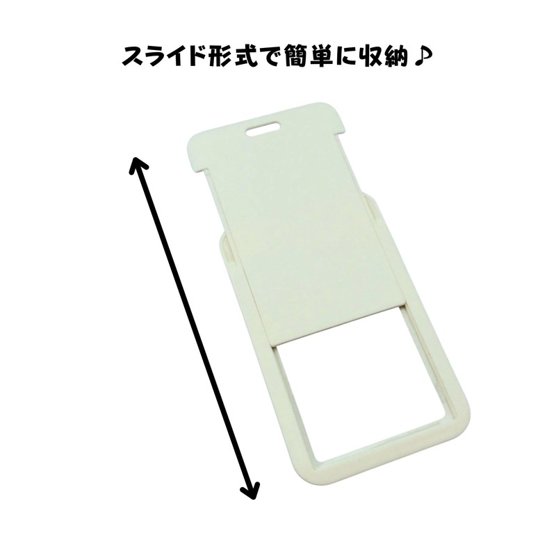 Pass Case, Cute, High School Students, Girls, Commuter Pass Case,