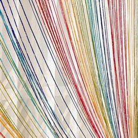 Home Decor Sequin Curtain for Doorway,Door String Curtains, 39x79 inch Hanging,Closet Bedroom Blind Living Room Divider,Window Wall Panel Fringe Backdrops Sheer no Beads Beaded Decorative Crystal