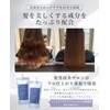 Lutia Hair Oil (Smooth) No-Rinse Treatment, Hair Type Revolution Salon