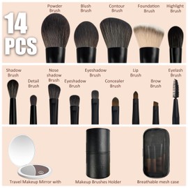 Jilier 14 pcs Mini Makeup Brushes and Pocket Mirror, Travel Makeup Brush Set, LED Compact Mirror with Light, Travel Size with Case, Portable for Handbag, Travel Essentials for Women