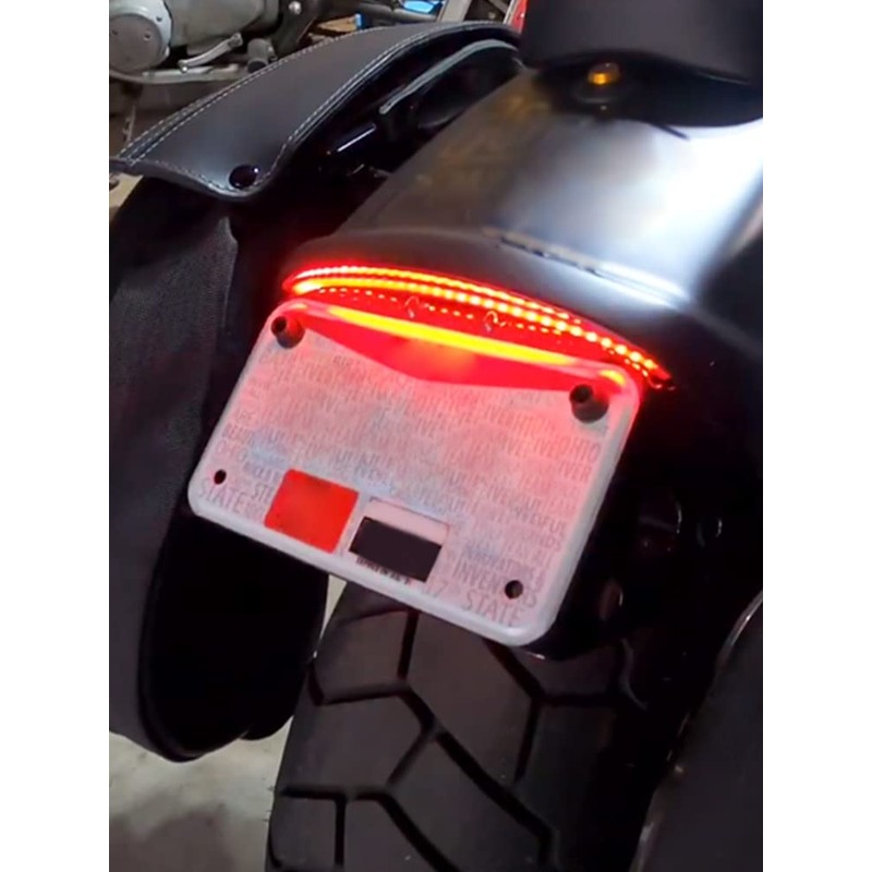 CARGLETRUE LED Tail Brake Light Fit for Harley Softail Fat