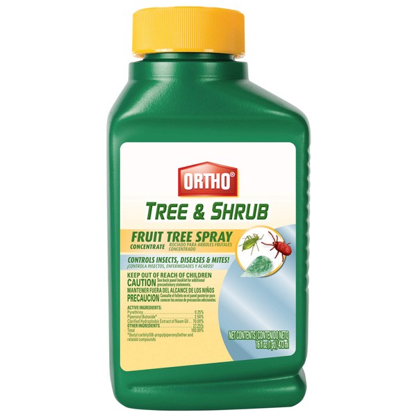 Ortho Tree & Shrub Fruit Tree Spray, 16-Ounce