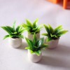 Miniature Plant Accessory, Green Potted Plant, 1:12 Scale, Suitable for