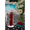 Prodyne Fruit Infusion Flavor Pitcher, Clear, 93 oz.