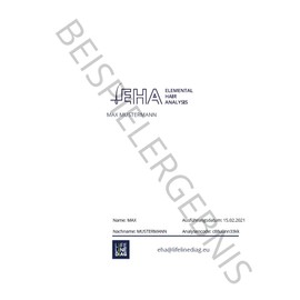 Hair Analysis EHA Test Child (Hair Analysis) + Individual Results Discussion