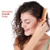 HealthAndYoga(TM) Handcrafted Neem Wood Comb - Anti Dandruff, Non-Static and