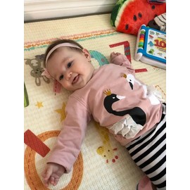 Joureker Toddler Baby Girl Outfit Set Swan Print Tops + Pants 2Pcs for Baby Girls Clothes, Pink, 18-24 Months