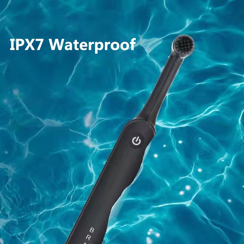Electric Rechargeable Rotating Toothbrush Intelligent Timing Two-speed Cleaning IPX7 Waterproof