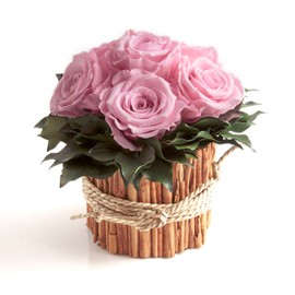 ROSEMARIE SCHULZ Heidelberg Rose Arrangement 6 Preserved Roses Long Lasting 3 Years Flower Arrangement Farmhouse Flower Decoration Table (Pink)