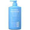 Sea Breeze Rinse In Shampoo