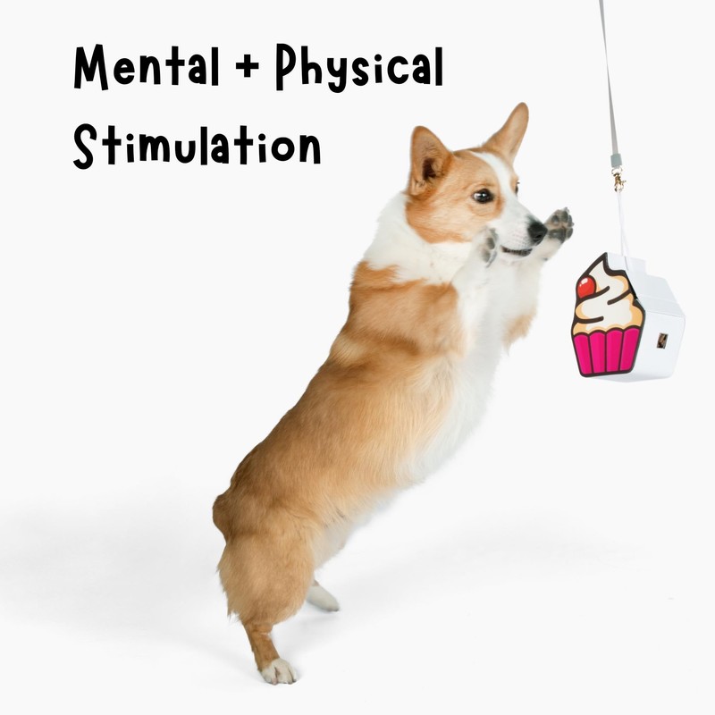 Dog Piñata - Dog Treat Dispenser Toy. Treat Dispensing Interactive