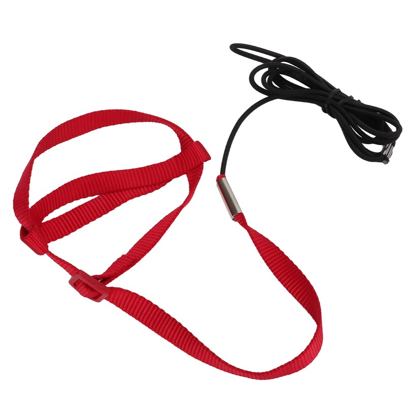 Bird Leash Bite Resistant Adjustable Parrot Flying Training Rope for