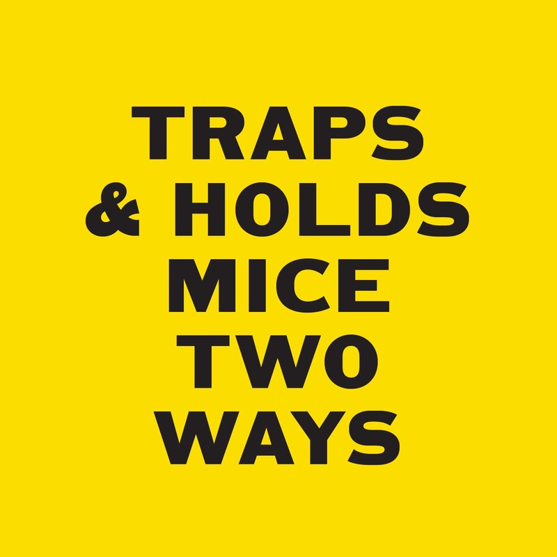 PIC Mouse Glue Boards, Baited Glue Trap with Sticky Adhesive,